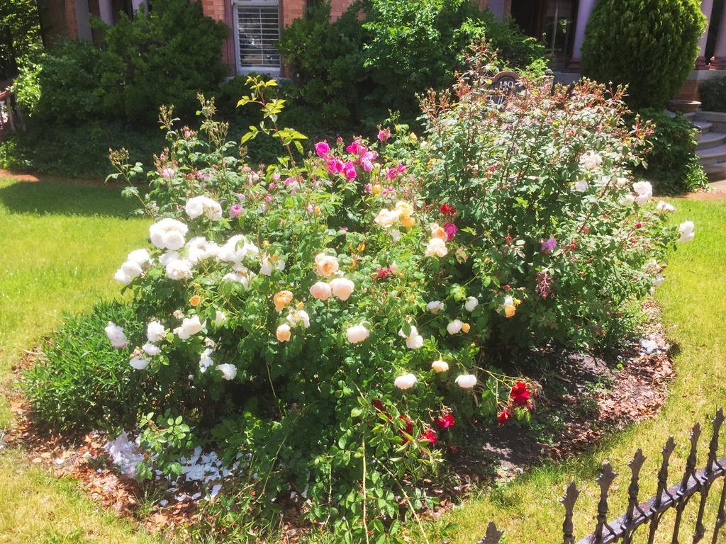 Historic Ellerbeck Mansion Bed & Breakfast Salt Lake City Exterior foto